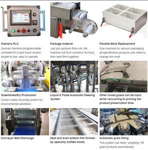 <span class=keywords><strong>Machine</strong></span> d'emballage sous vide thermoformante entièrement automatique pour céréales, noix, jambon et saucisses - Product Image 5