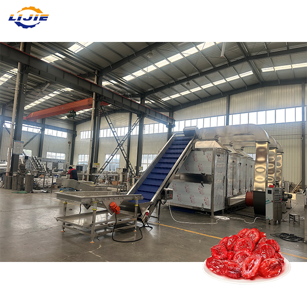 Fully Automatic Multi Layer Mesh Belt Drying Machine for Uniform Drying of Black Pepper and Different Spices