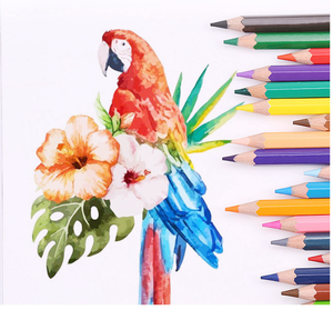 Lápices <span class=keywords><strong>de</strong></span> <span class=keywords><strong>color</strong></span> <span class=keywords><strong>de</strong></span>... lapices <span class=keywords><strong>de</strong></span> colores - Product Image 4