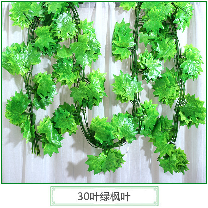 30 feuilles d'érable vertes