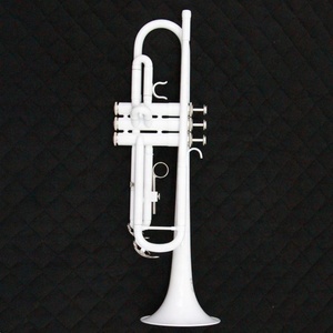 Chine OEM Orchestre B Plat Trompette Trompette Corps En Laiton En Acier Inoxydable Valve Piston Blanc Noir Argent Coloré Trompette - Product Image 3