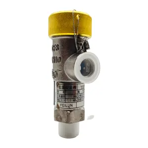 Cryogenic Micro-Open Relief Valve Safety Valve