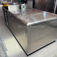 Machine à glaçons industrielle professionnelle de 0,5 tonne, en acier inoxydable, système de production de blocs de glace commerciaux