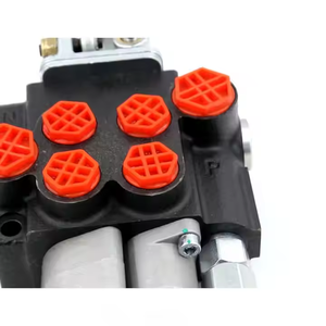 วาล์วควบคุมทิศทางไฮดรอลิกแบบแมนนวลและจอยสติ๊ก รุ่น P40-G12-G38-OT-QTW |   โซลูชัน OEM และ ODM ที่ออกแบบตามความต้องการ - Product Image 4