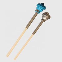 High Temperature 1600C Ceramic Probe Thermocouple Type S B R Type Platinum Rhodium Thermocouple for Furnace Use