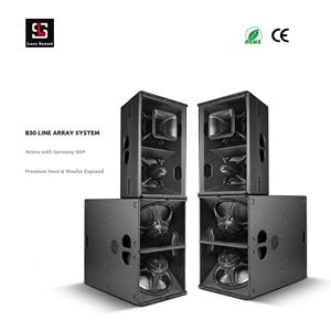 LS-B300 Subwoofer Attivo/Passivo in Legno da 15 Pollici 2400W, Sistema Audio Professionale per Concerti all'Aperto - Product Image 2