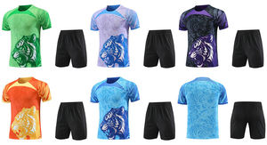 Squadra di <span class=keywords><strong>calcio</strong></span> set uomo maglia da <span class=keywords><strong>calcio</strong></span> su misura uomo arancione euro giocatore versione maglia da <span class=keywords><strong>calcio</strong></span> con calzoncini calzini - Product Image 6