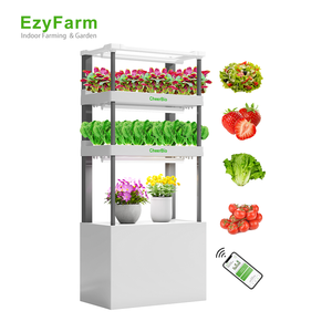 Kit hydroponique Plug and Play <span class=keywords><strong>pour</strong></span> mini-ferme intelligente <span class=keywords><strong>pour</strong></span> débutants - Product Image 1