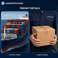 Shenzhen Lead Supply Chain Chine vers le Royaume-Uni Service de transport maritime LCL porte-à-porte DDP Transitaire Amazon FBA