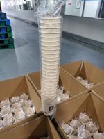 Gelas Kertas Sekali Pakai Biodegradable 8oz Grosir, Dapat Disesuaikan dan Dicetak, Lapisan PE Tunggal untuk Air Mineral