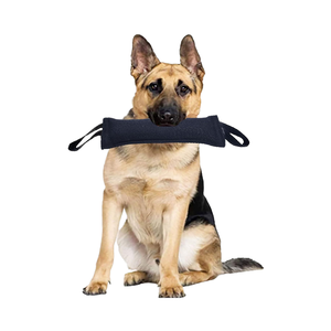 Juguete Resistente e Interactivo para Perros Medianos y Grandes, Mordedor de Nylon y Yute para Entrenamiento, Ejercicio y Juego Canino - Product Image 1