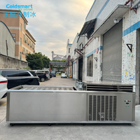 Machine à glaçons industrielle Coldsmart de 3 tonnes et 5 tonnes, machine à glaçons automatique, logo personnalisé, machine à glaçons industrielle pour usage en cuisine
