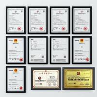 Lot de 100 pochettes transparentes A4 en PP, 11 trous, pochettes de classement robustes, épaisseur 0,065 mm, pochettes écologiques pour documents