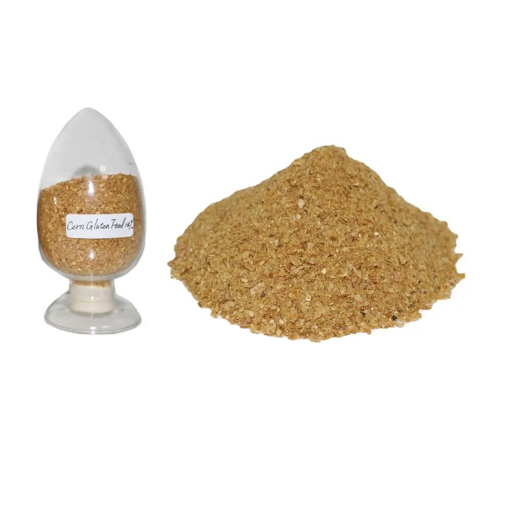 Hayvan yemi kanatlı mısır Gluten Meal60 % CGM60 % ucuz fiyat