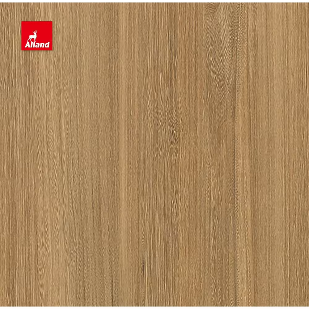 Honey Elm Veneer