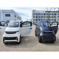 Voiture électrique lithium L6e homologuée CEE COC 60V 2000W 4 roues petite taille 2 places cuir foncé avec caméra arrière
