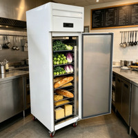 Congelador Comercial Vertical de Acero Inoxidable con Una Puerta y Enfriamiento por Aire para Bandejas GN