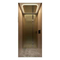 Ascenseur de villa de luxe personnalisable en acier inoxydable, capacité de charge 260-400 kg, capacité 3-5 personnes, intelligent