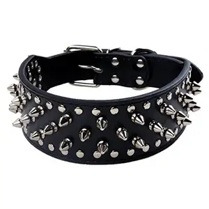 Boxer Collar Studded Dog Collar Neo Hot Leather with Spikes for Large Medium Dogs Custom Width 31 Spikes 52 Studdeds Solid Rivet