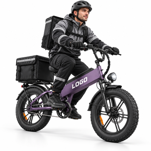 Vélo cargo électrique OEM D40 750W 48V40AH avec écran couleur, assistance au pédalage (PAS), étanche – Vente en gros - Product Image 1