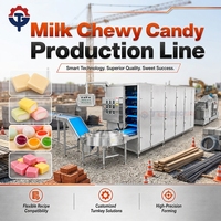TG Machine Aanpasbare Sugus Soft Candy Productielijn / Diverse Fruit Smaken