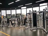 Smith Machine et Power Rack, équipement de fitness double en fer pour usage commercial avec tube de 3 mm et design unisexe