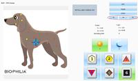 Scanner NLS Biophilia Guardian 2026 pour professionnels vétérinaires, outil de diagnostic de santé des animaux de compagnie, détection non invasive