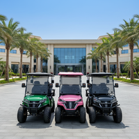 Voiturette de golf électrique au lithium personnalisable 4 places 48 V de qualité supérieure avec personnalisation gratuite de la couleur et du logo pour usage en station balnéaire ou à domicile