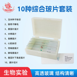 Ten types of <b>microscopic</b> specimens for cell biology experiments, freshly stained, classic teaching slides. - Product Image 5