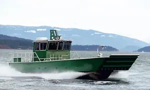 9m 30ftアルミニウム溶接作業着陸船貨物ボート - Product Image 5