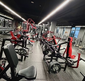 Máquina de Ejercicios para Bíceps y Tríceps <span class=keywords><strong>Panatta</strong></span> Steel Ajustable, Equipo de Fitness Comercial - Product Image 3