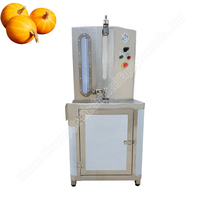 Cassave Kleine Industriële Automatische Meloen Papaja Peeling Pompoen Dunschiller Machine