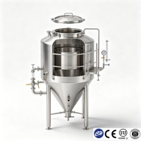 Tanque de Fermentación de Cerveza y Alcohol para Destilería, Acero Inoxidable Sanitario SS304/316L, Fermentador con Control de Temperatura PLC, Certificado CE