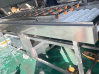 Hoogwaardige reinigingsmachine voor groenten en fruit, aardappelen, wortelen en cassave