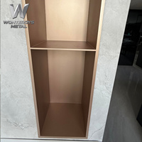 Niche de douche encastrée en acier inoxydable pour rangement de salle de bain, sans carrelage, couleur or champagne