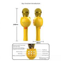 Microphone Karaoké Sans Fil pour Enfants avec Effets de Réverbération Intégrés, Entrée Audio Carte BT TF, Subwoofer