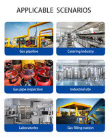 Industrial Fixed Pressure Detector 4-20mA PA and Digital Pressure Measuring Instruments Alarm Sensor Pressure Transmitter