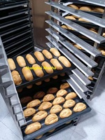 Four rotatif pour la production de pain, 32 plateaux, acier inoxydable, machine automatique de fabrication de bonbons et de biscuits