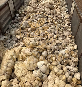 Caucho Natural en Trozos Vietnature de Vietnam - Grado Estándar para Uso en Automoción y Equipamiento Deportivo, Suministro Directo de Fábrica, Precio Competitivo - Product Image 5