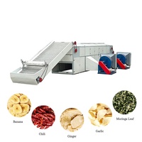Ondersteuning voor maatwerk zeewierdroogapparatuur droogmachine voor voedsel met gaasband voor kool/fruit/gember vis en vlees droogmachine