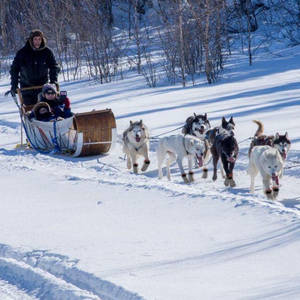 थोक अनुकूलित सर्दियों फैशन विरोधी पर्ची सांस पालतू जानवर बड़ा कुत्ता चलना सुरक्षा मोजे जूते जूते आउटडोर के लिए Hotroads - Product Image 6