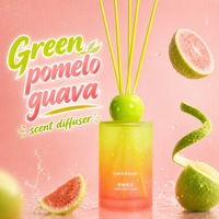 Échantillon disponible – Diffuseur de parfum Série Fruits – Bouteille en verre dégradé mat – Étiquette personnalisée – Bâtonnets en rotin assortis pour la décoration intérieure