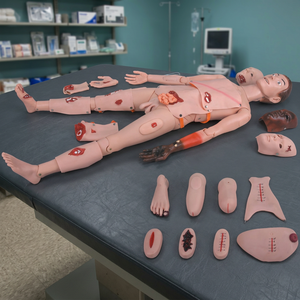 Mannequin médical Healicom H-G111 pour simulation humaine, fonctions complètes, soins des traumatismes, soins des plaies, adulte, certifié CE ISO - Product Image 2