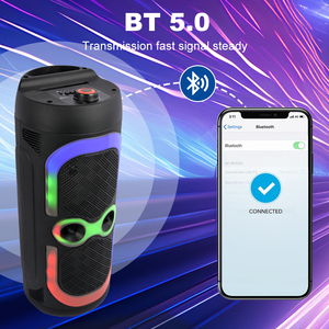 SING-E Zqs6231 Bán Chạy Nhất 6.5 Inch RGB Ánh Sáng Lạnh <span class=keywords><strong>Stereo</strong></span> Dj Bt Loa Với Ánh Sáng Mát Mẻ <span class=keywords><strong>Stereo</strong></span> Woofer Đối Với Trang Chủ Khách Sạn Carschool - Product Image 4