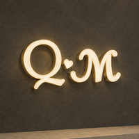 Letrero Personalizado con Letras de Canal LED 3D de 15 mm, Acrílico Transparente con Acabado Arenado, Acero Inoxidable Dorado Titanio Cepillado, Logotipo en Blanco Cálido