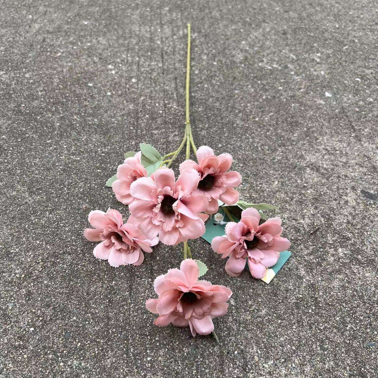 6 coucou pivoine pâte de haricots