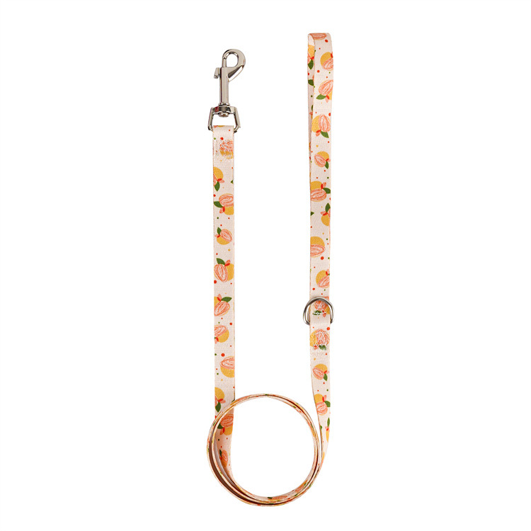 Cuerda de transporte