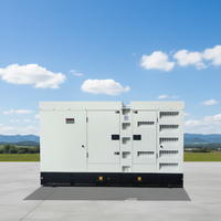 Groupe électrogène diesel Cummins silencieux de 132 kW 165 kVA pour machines d'ingénierie et alimentation de chantier