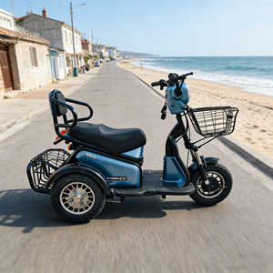 Triciclo Elettrico Holladay 500W, Scooter Elettrico a <span class=keywords><strong>3</strong></span> <span class=keywords><strong>Ruote</strong></span>, Controller a 12 Tubi, E-bike a 2 Posti per Adulti e Anziani, Autonomia 40km - Product Image 4