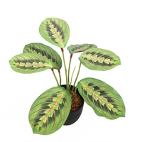 Plante artificielle mini calathea de 25 cm de haut, très vendue, décoration d'intérieur, petit bonsaï